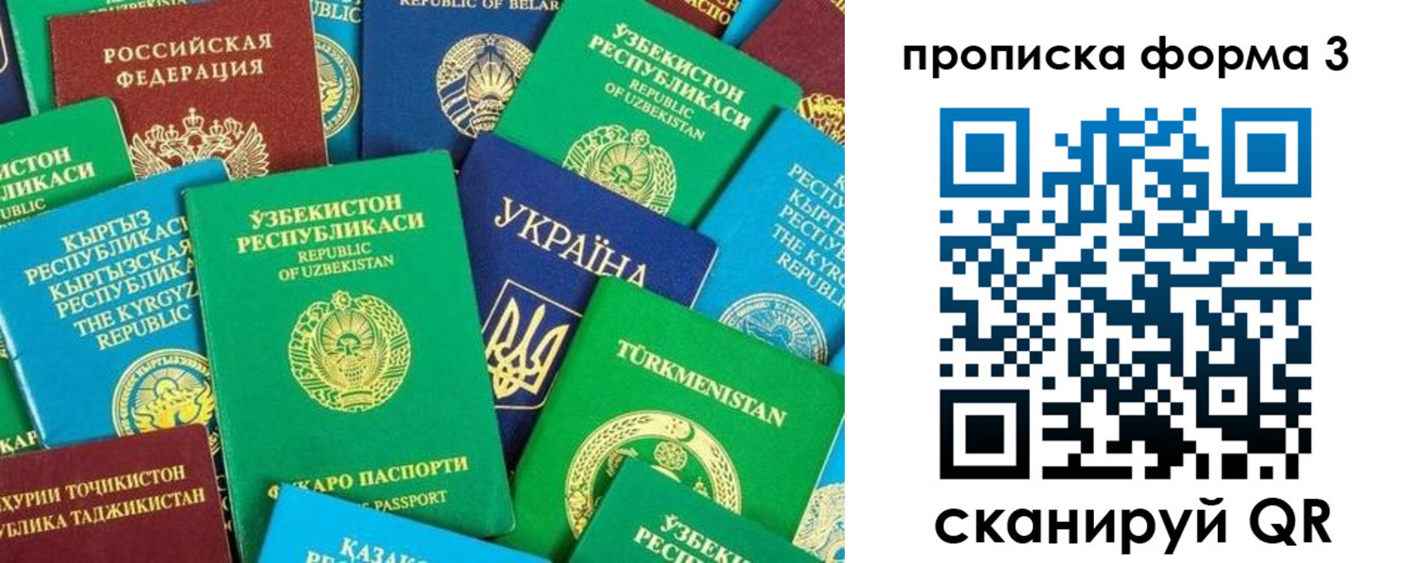 регистрация в Краснознаменске